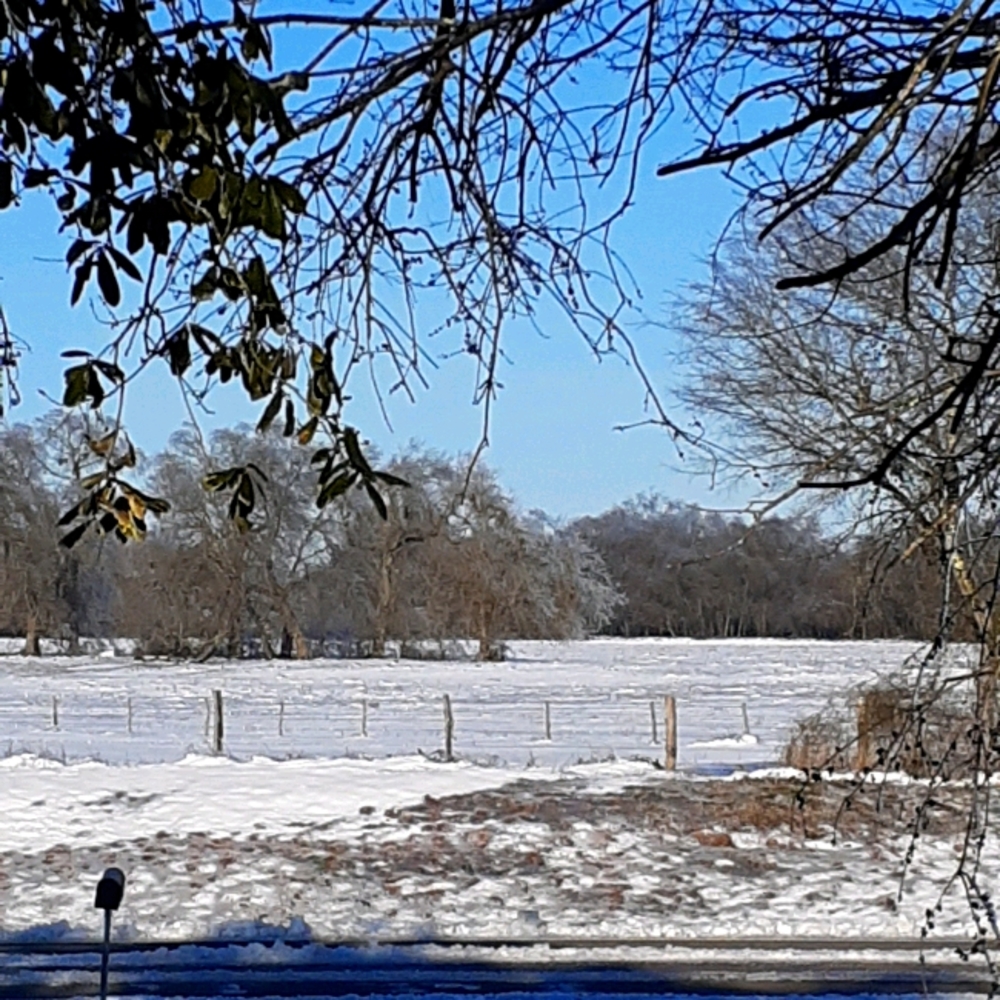 Meet your Posher, Ruthie